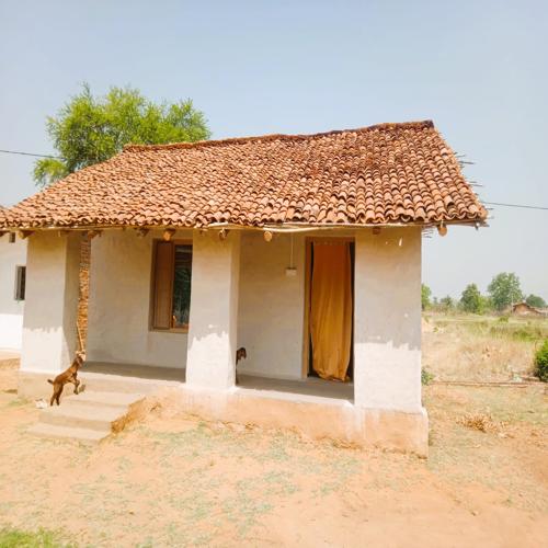 Cheeta Homestay, Damna
